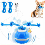Interactive PetSphere – For hours of playtime fun and mental fitness