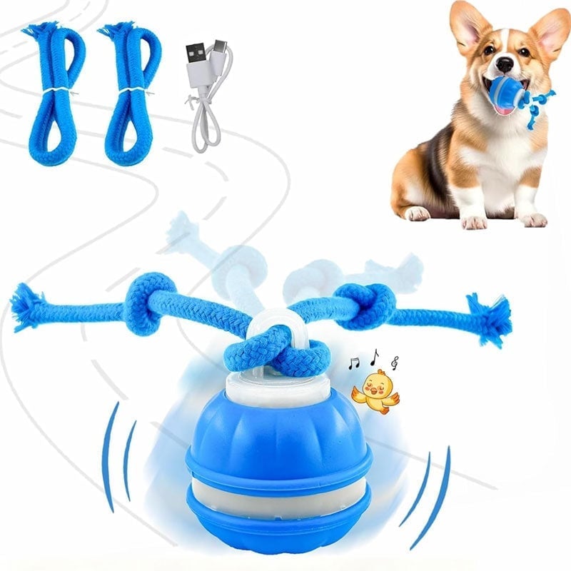 Interactive PetSphere – For hours of playtime fun and mental fitness