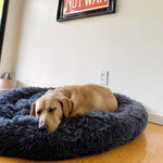 Beruhigendes Hundebett für entspannte Nächte