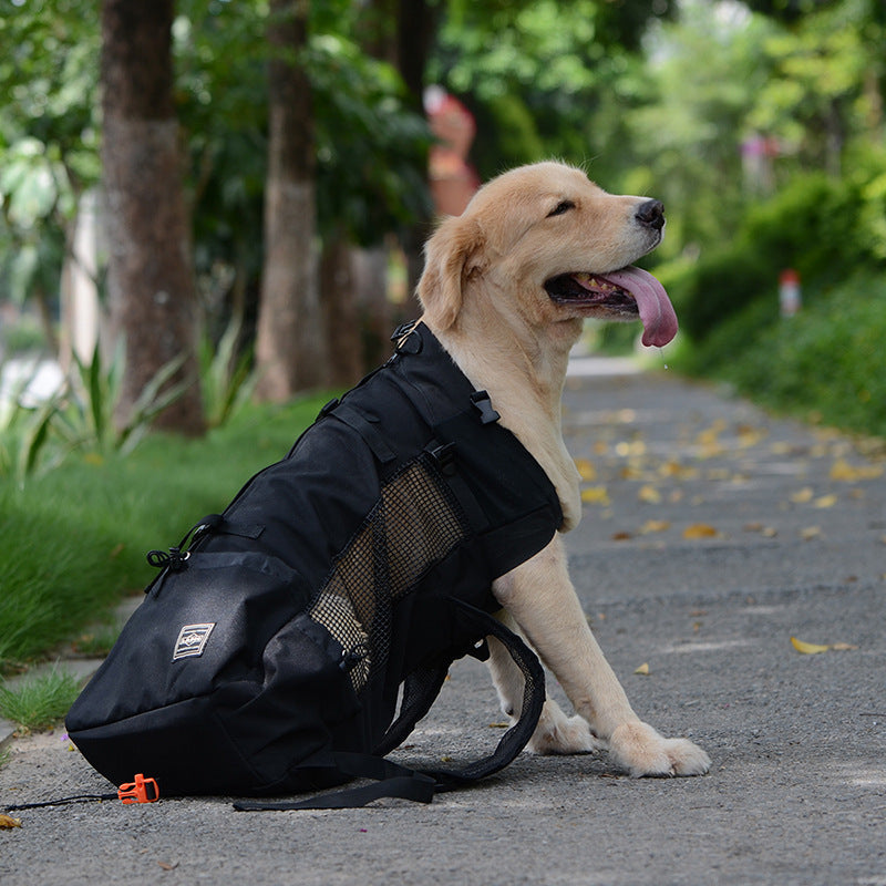 Hunderrucksack – Bequeme Tragetasche für mittelgroße Hunde mit Sicherheitsgurt und Stauraumtaschen