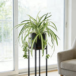 Vibrant 65 cm tall artificial plant for wall decoration