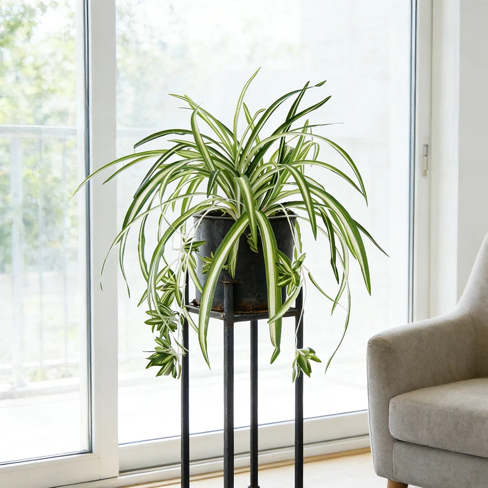 Vibrant 65 cm tall artificial plant for wall decoration