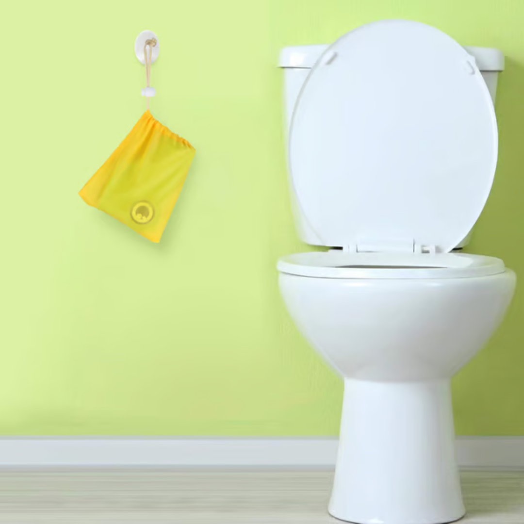 Froggy Fun – Potty Training Made Easy!