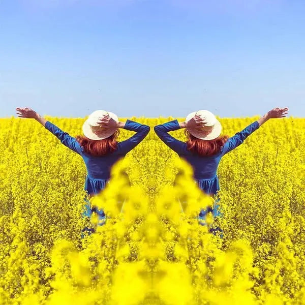 Kreativer Spiegelreflektor für beeindruckende Fotos