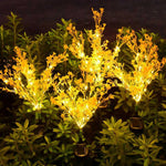 Vibrant Rape Blossom Decoration for Garden and Home