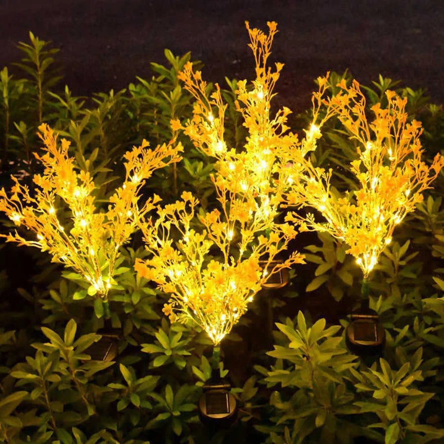 Vibrant Rape Blossom Decoration for Garden and Home