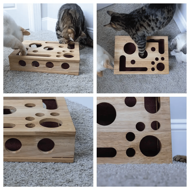 Katzenspielzeug aus Holz – Interaktive Beschäftigung mit Leckerlis