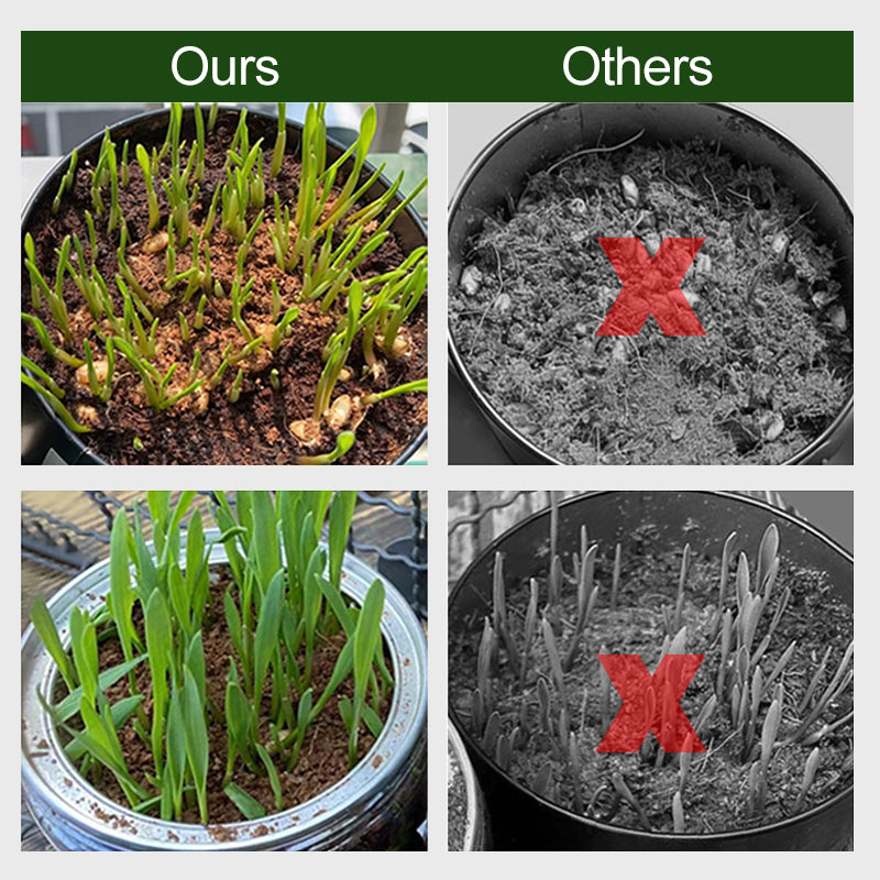 HydroGrow - Optimal Moisture for Healthy Plants