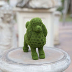 Vibrant Garden Decor - Transform Your Outdoor Space!