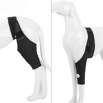Knieschoner für Hunde – Unterstützung bei Gelenkschmerzen und Rehabilitation