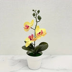 Elegante Künstliche Orchideen-Bonsai für Ihr Zuhause