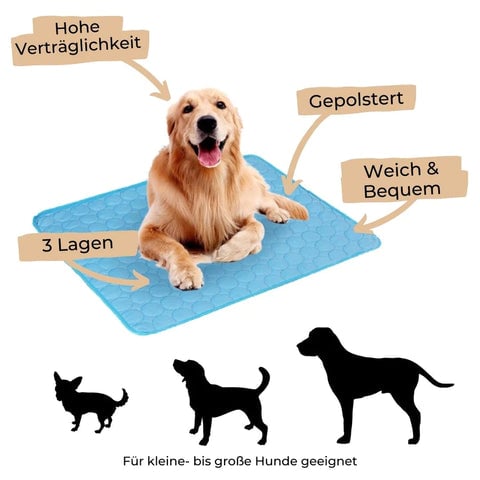 CoolPaws - Keep Your Dog Fresh and Relaxed All Day Long