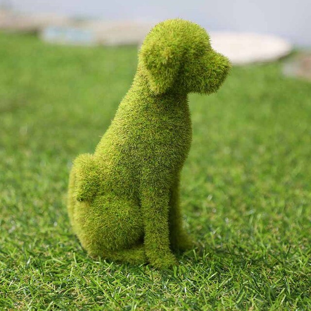 Vibrant Garden Decor - Transform Your Outdoor Space!