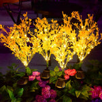 Vibrant Rape Blossom Decoration for Garden and Home
