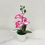 Elegante Künstliche Orchideen-Bonsai für Ihr Zuhause