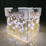 Zauberhafte Tulpenlampe – Blossom Box
