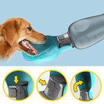 AquaBuddy - The perfect hydration solution for dogs on the go