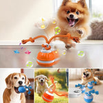 Interactive PetSphere – For hours of playtime fun and mental fitness
