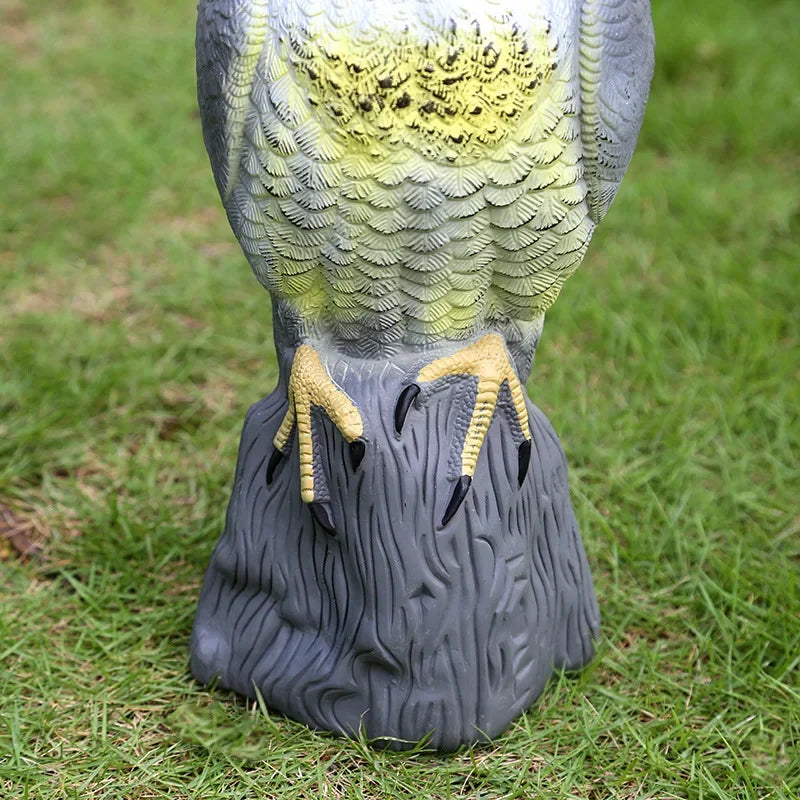 Lifelike eagle decoy for bird deterrence in the garden