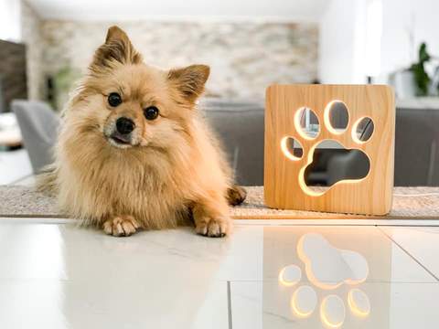 3D Tierlampe aus Holz – Ein bezaubernder Begleiter