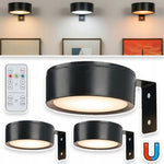 Flexibles Magnetlicht für Kunstwerke und Fotos