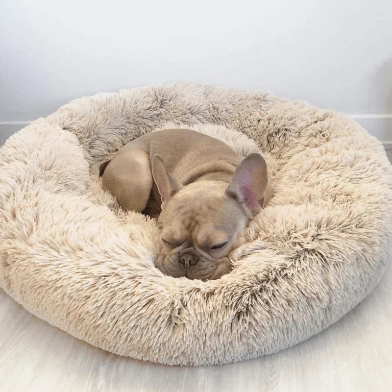 Beruhigendes Hundebett für entspannte Nächte
