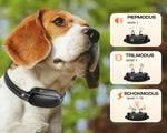 Hundetrainer Pro Trainingshalsband – Wasserfestes Elektronik-Halsband mit Fernbedienung