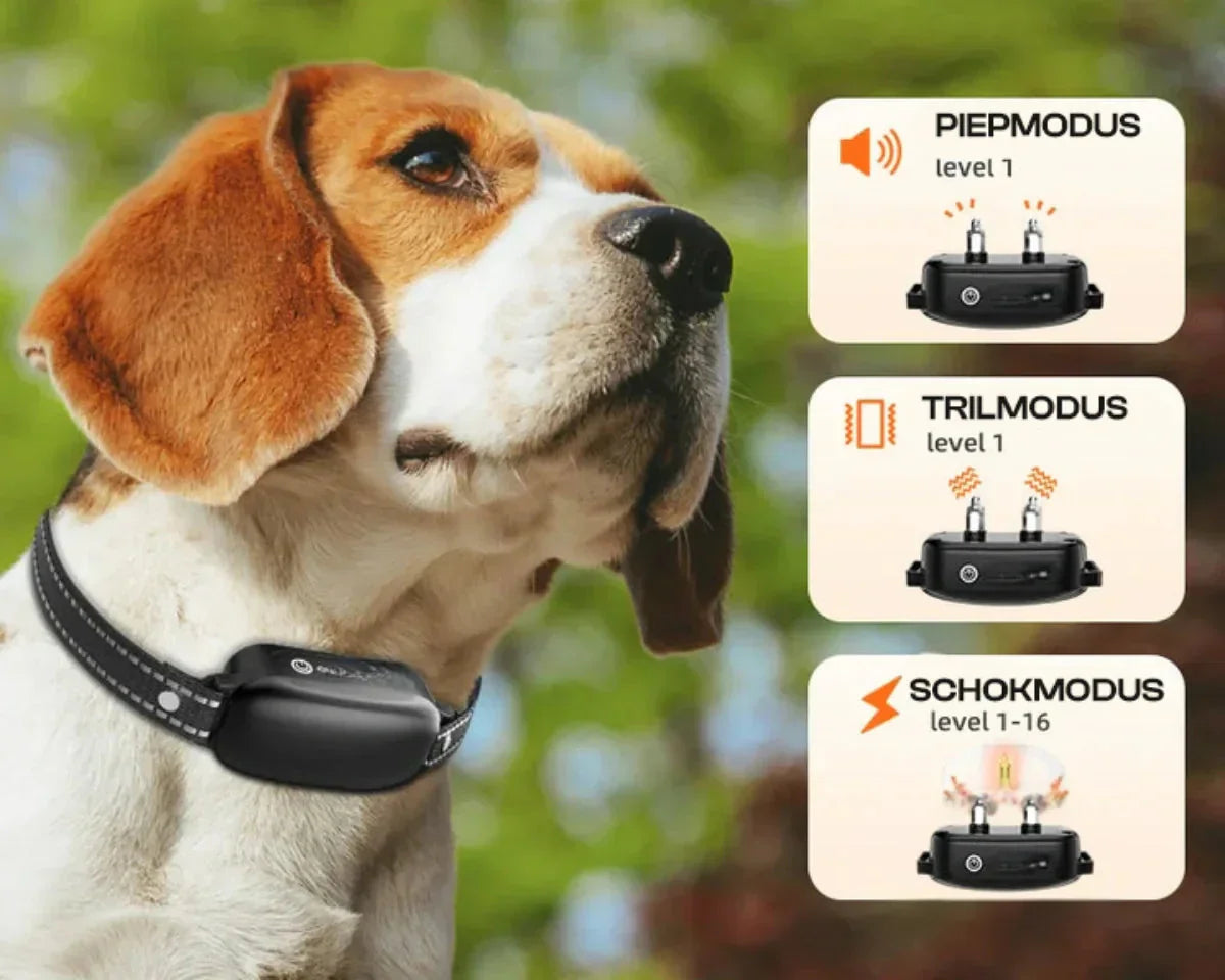 Hundetrainer Pro Trainingshalsband – Wasserfestes Elektronik-Halsband mit Fernbedienung