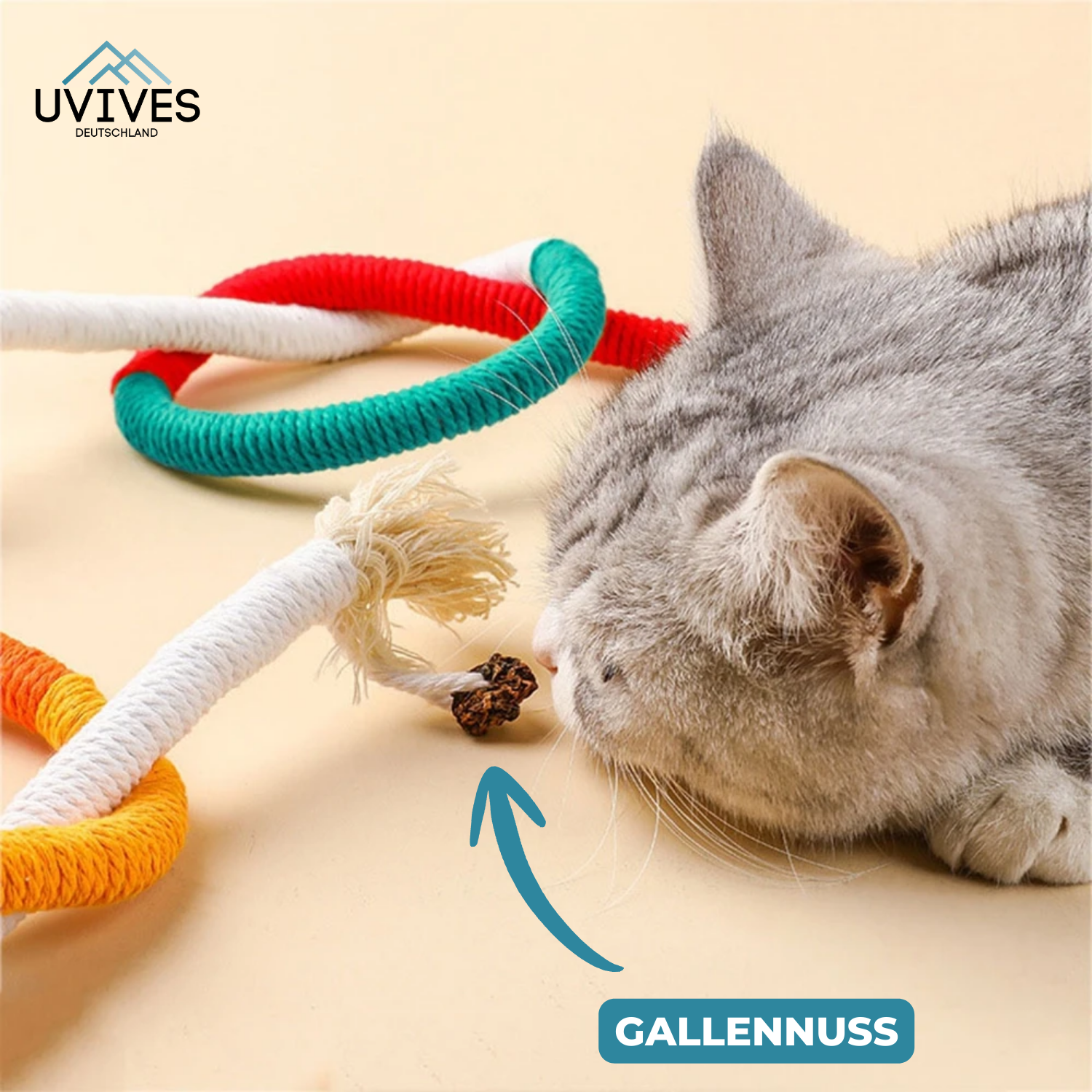 Katzenfreude – Aktivität und Zahnpflege in einem Spielzeug