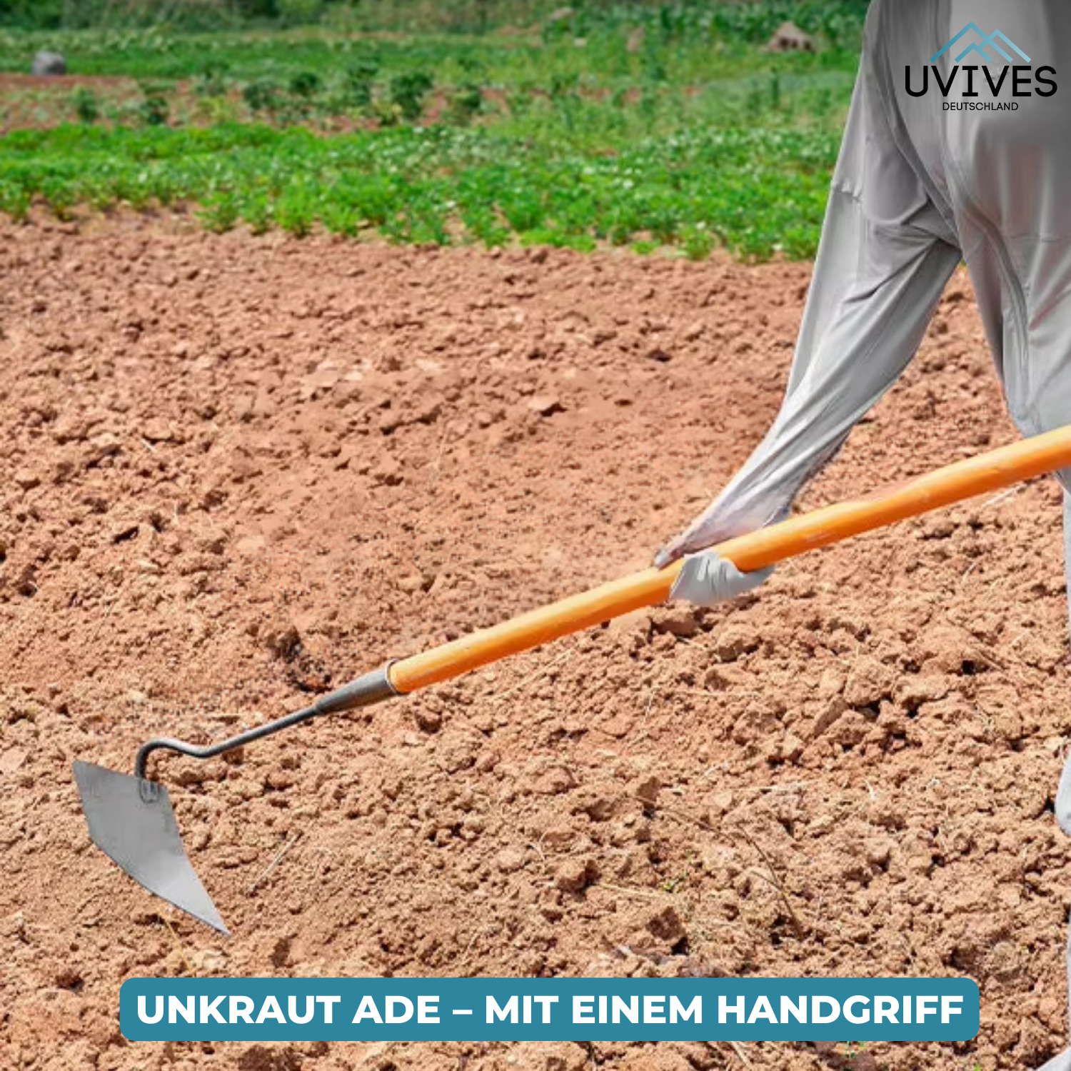 Efficient Garden Care with a Robust Stainless Steel Hoe