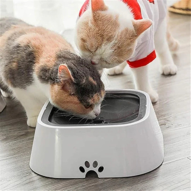 Auslaufsichere Wassertrinkschüssel für Hunde und Katzen