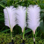Elegante Rattan-Gartenleuchte - NaturLicht
