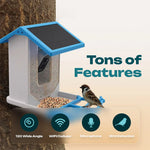 Naturblick Bird Feeder | Experience Wildlife Up Close