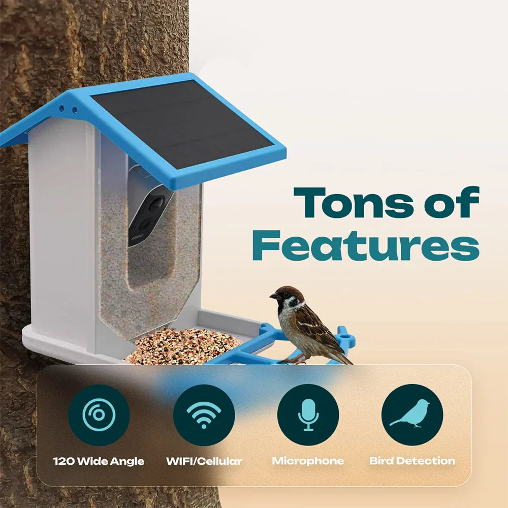 Naturblick Bird Feeder | Experience Wildlife Up Close
