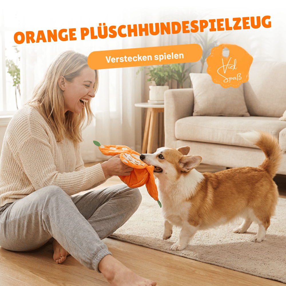 Interaktives Plüschspielzeug für Hunde – Versteckspiel für Leckerlis