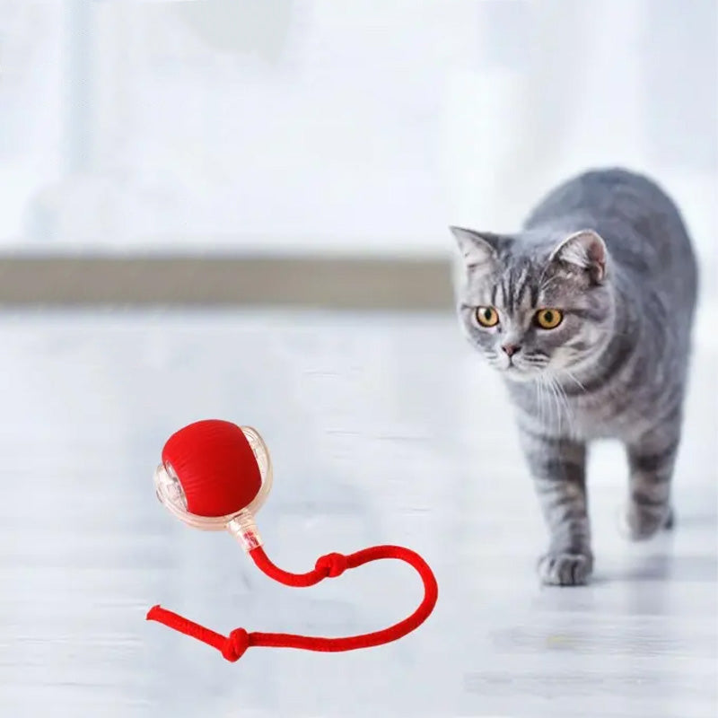 Interaktiver Spielball für Katzen – Spaß und Bewegung für drinnen