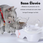 Katzennapf für Futter