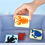 Colorful Water World – Creative Learning Set for Children