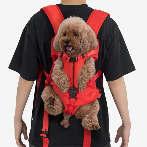 Bequeme Haustiertragetasche Cockpit – Wasserdicht & Atmungsaktiv – Für Hund oder Katze