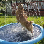 Splash Fun for Pets | Refreshment for Every Day!