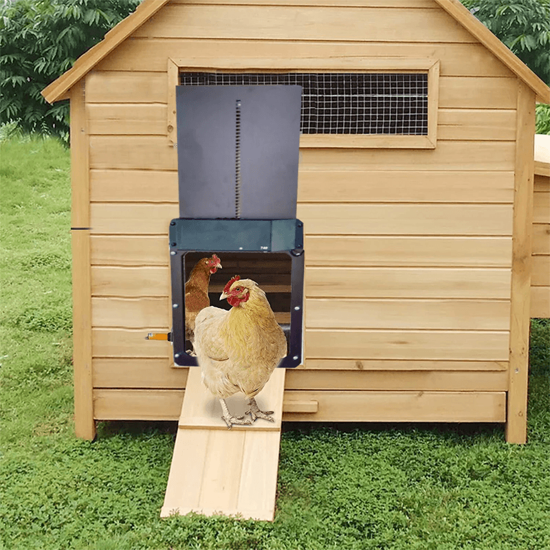 Automatic Chicken Coop Door for More Security and Convenience
