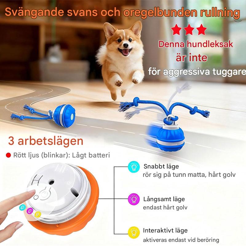 Interactive PetSphere – For hours of playtime fun and mental fitness