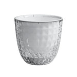 SmartWater Flower Pot with Self-Watering and Transparent Design