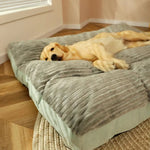 Orthopädisches Hundebett – Waschbarer, weicher Komfort für Hunde