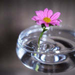 BlütenEleganz – Perfect Presentation for Your Flowers