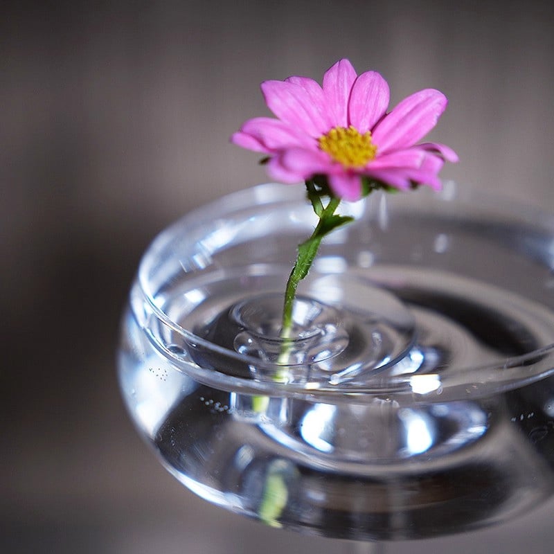 BlütenEleganz – Perfect Presentation for Your Flowers