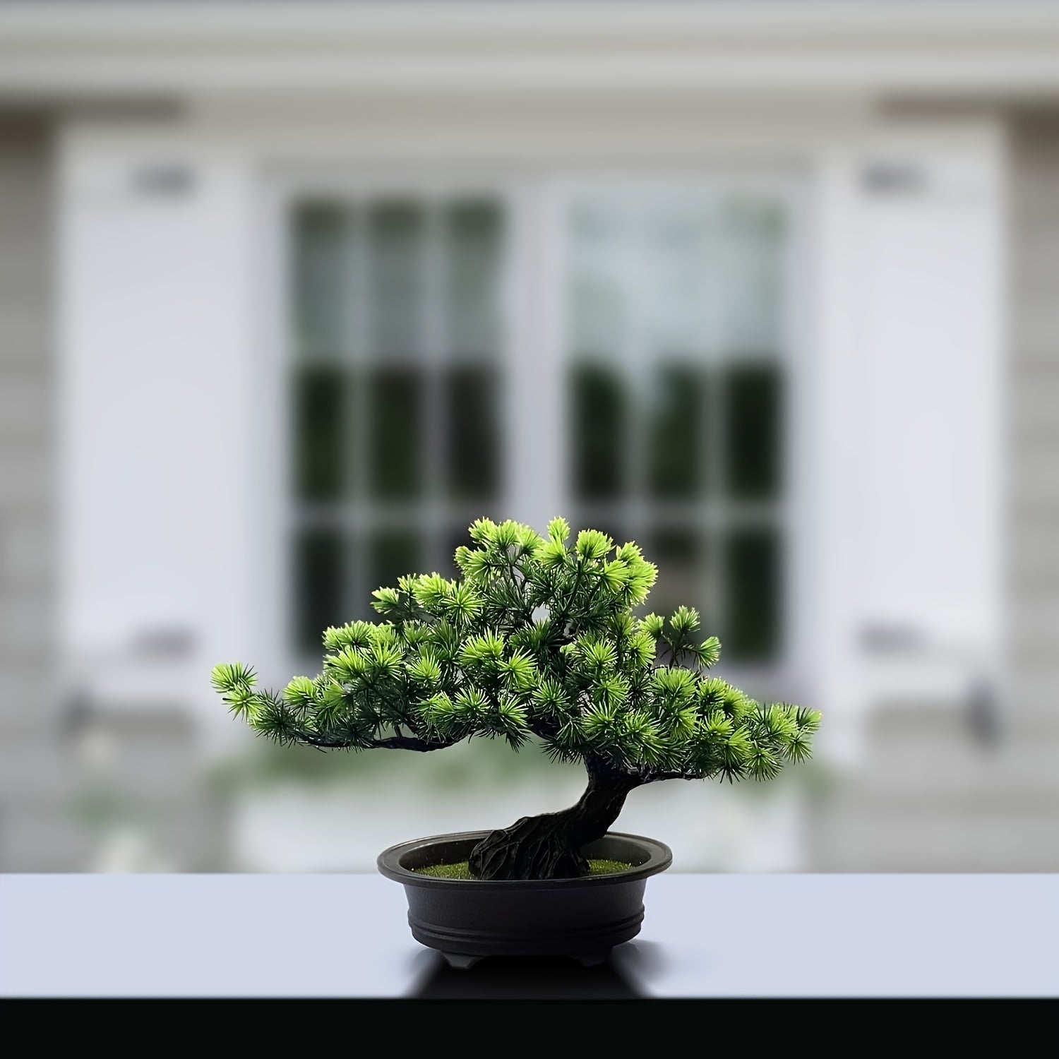 Lebenslange Bonsai-Pflanze für ein harmonisches Zuhause