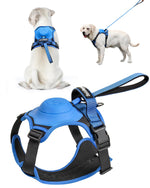 FlexiLeash | All-in-One Hundegeschirr mit einziehbarer Leine