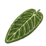 Tropisches Blatt Handtuch | Hochwertige Saugkraft | Schnell trocknend | 100% Polyester