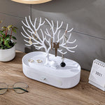 Elegant Jewelry Organizer – No More Clutter